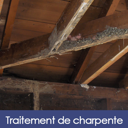 Traitements de charpente à Saint-Maur des Fosses dans le Val de Marne 94 et à Nanterre dans les Hauts de Seine 92
